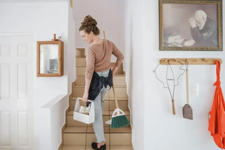 Home Cleaner